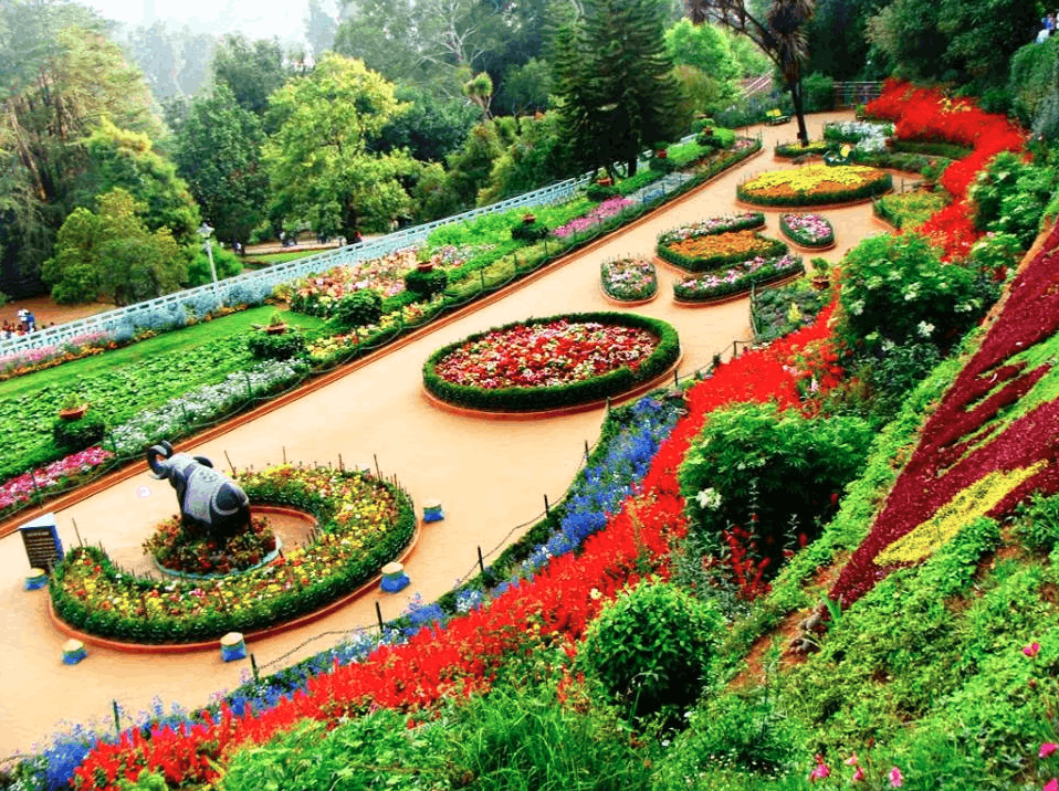 Ooty – Coonoor Backpacking Trip